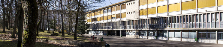 Mini-Stages en voie professionnelle au Lycée Bascan